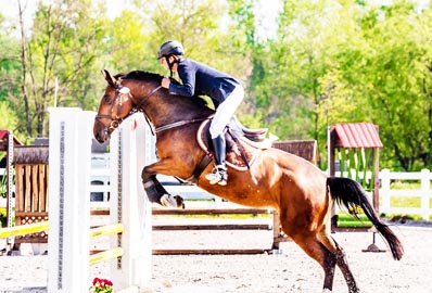 Desportos Equestres